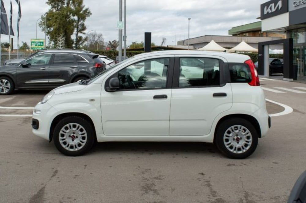 Fiat Panda usata a Latina (4)