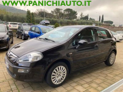 Fiat Punto Evo 1.3 Mjt 75 CV 5 porte Dynamic  del 2010 usata a Cortona