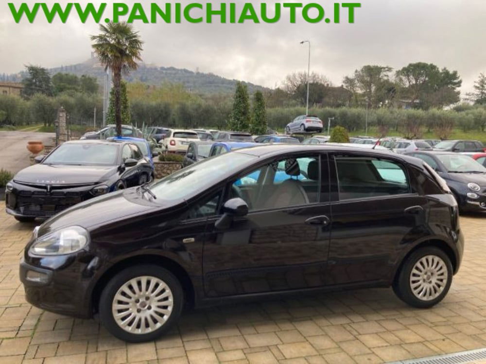 Fiat Punto Evo usata a Arezzo (2)