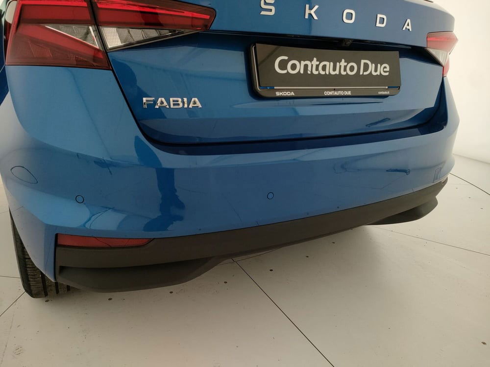 Skoda Fabia usata a Caserta (10)