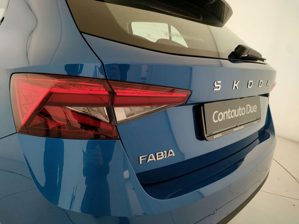 Skoda Fabia usata a Caserta (11)