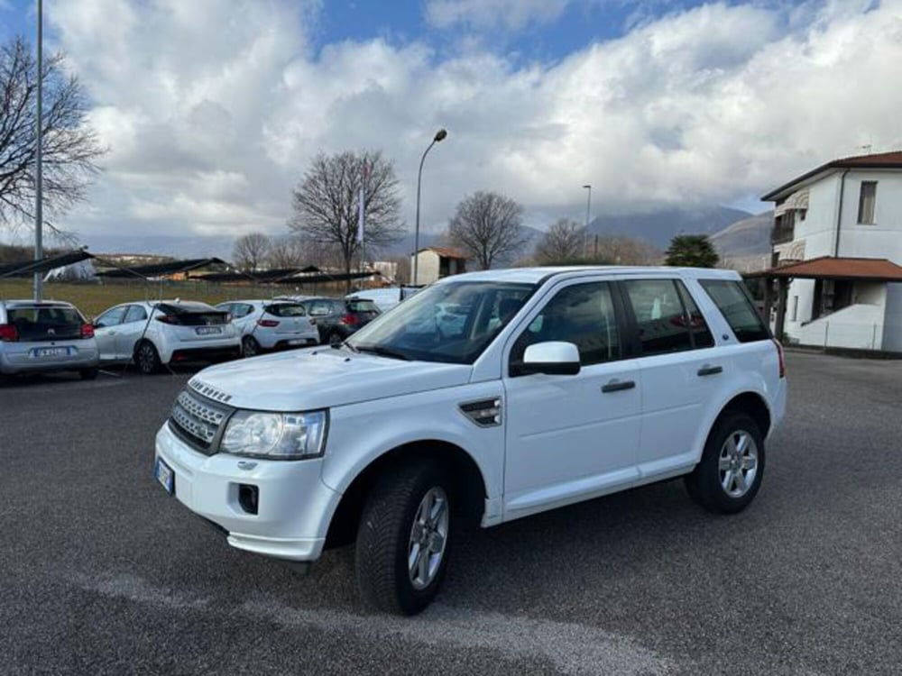 Land Rover Freelander usata a Pordenone (2)