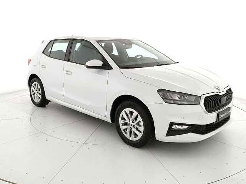 Skoda Fabia usata a Caserta (3)