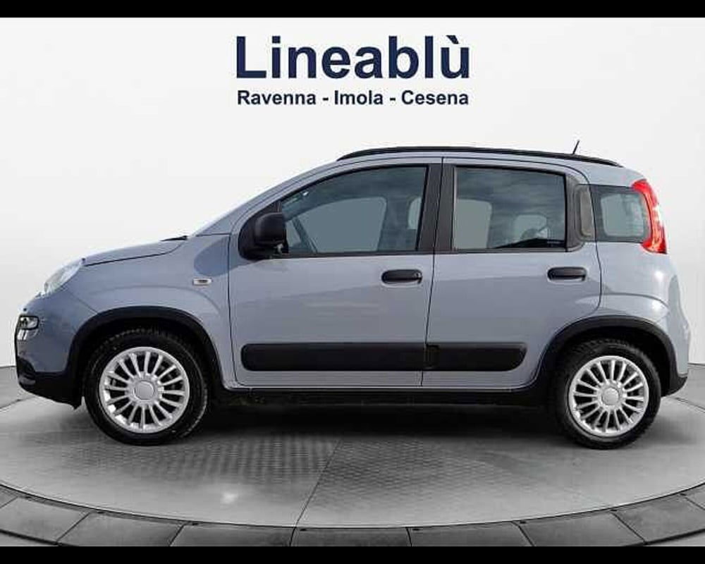 Fiat Panda usata a Ravenna (2)