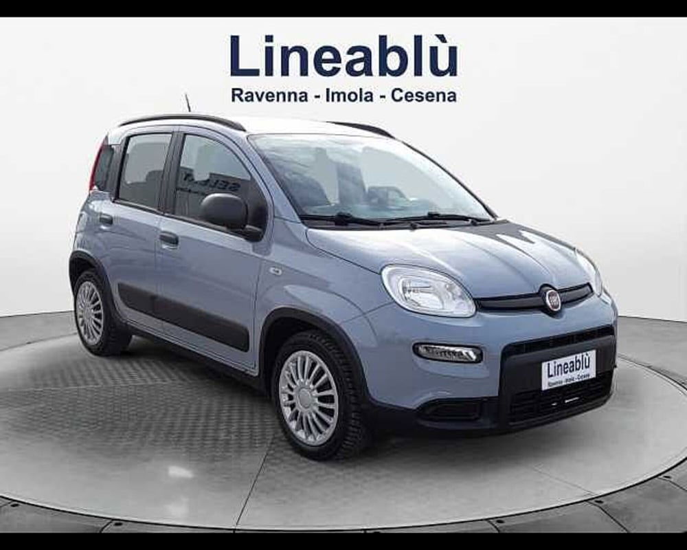 Fiat Panda usata a Ravenna (7)