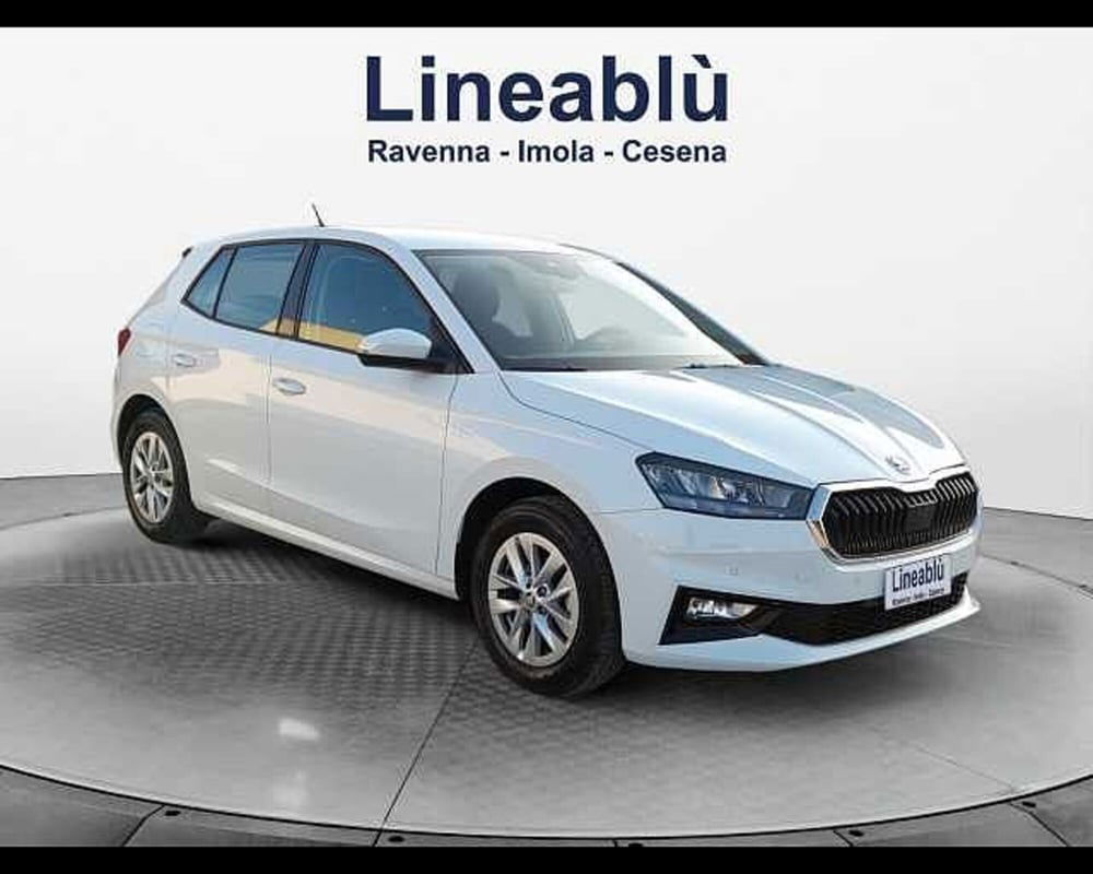 Skoda Fabia usata a Ravenna (7)