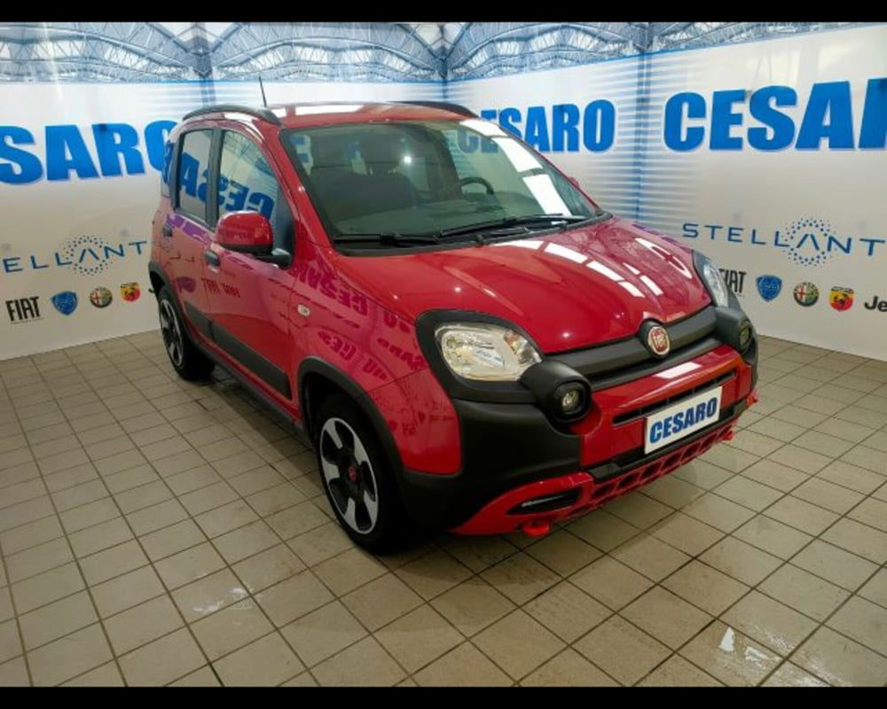 Fiat Panda Cross usata a Aosta