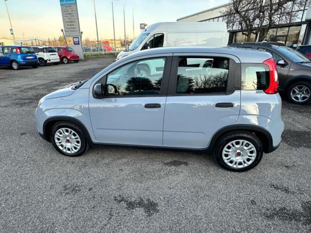 Fiat Panda usata a Milano (2)