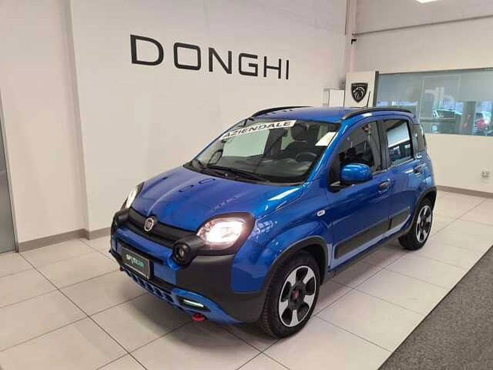 Fiat Panda Cross usata a Brescia