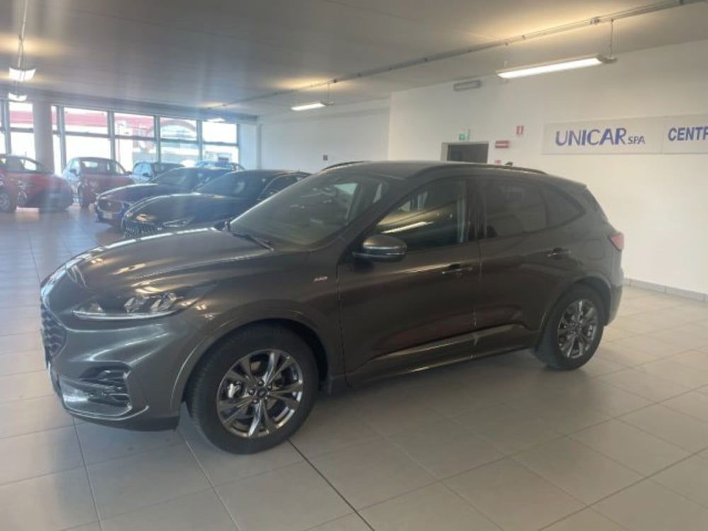 Ford Kuga usata a Cuneo (6)