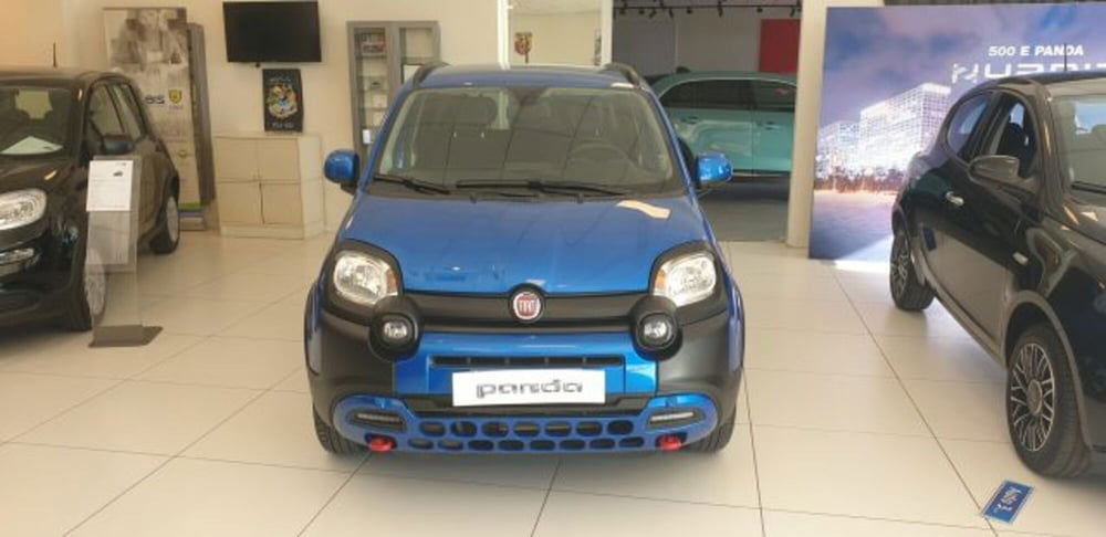 Fiat Panda Cross usata a Imperia (2)