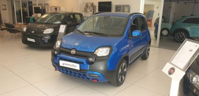 Fiat Panda Cross 1.0 firefly hybrid Cross s&amp;s 70cv 5p.ti del 2024 usata a Sanremo