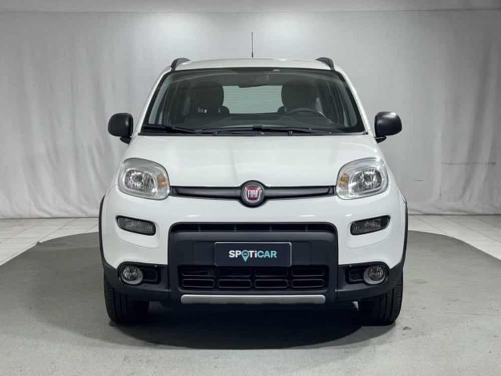 Fiat Panda usata a Sondrio (8)