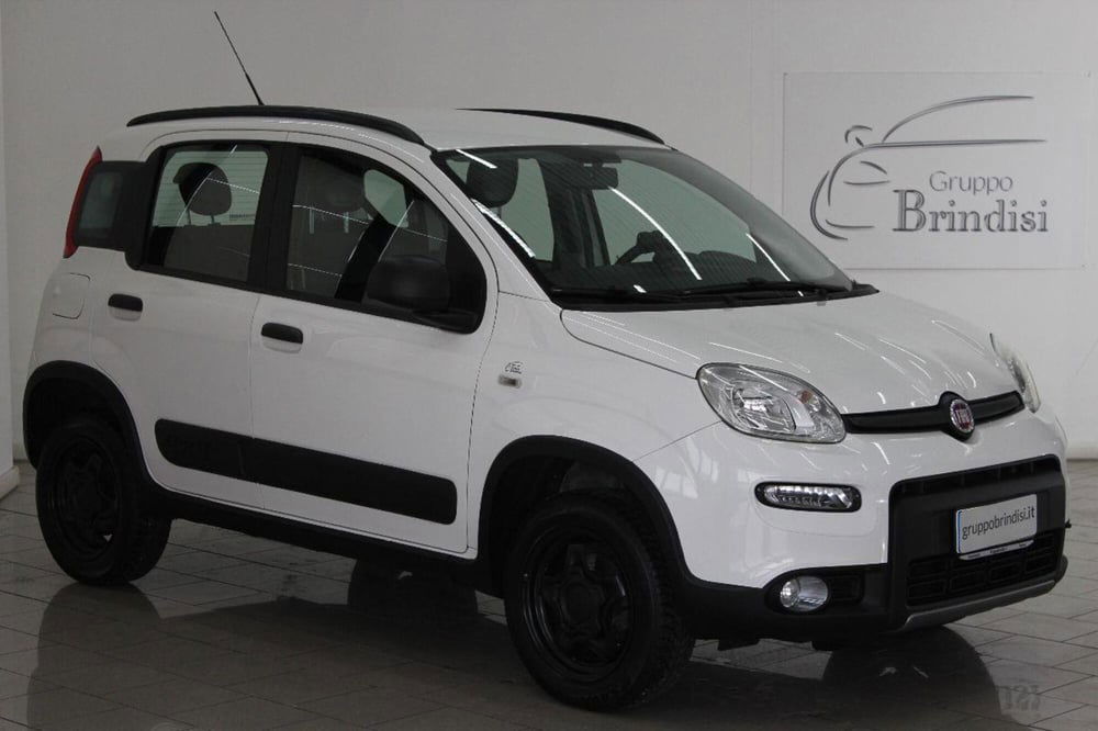 Fiat Panda usata a Potenza