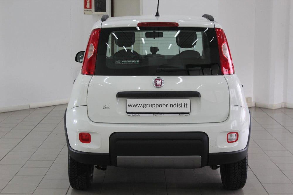 Fiat Panda usata a Potenza (4)