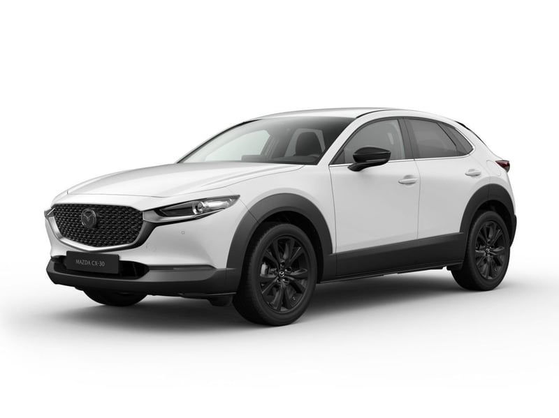 Mazda CX-30 2.0 m-hybrid Homura 2wd 122cv 6at del 2022 usata a Bari