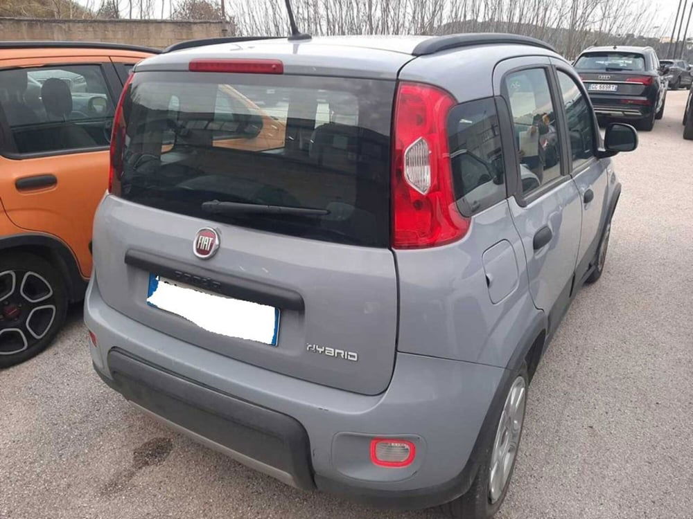 Fiat Panda usata a Arezzo (3)