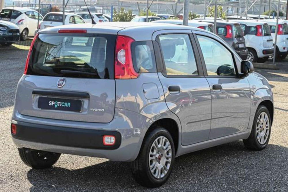 Fiat Panda usata a Torino (5)