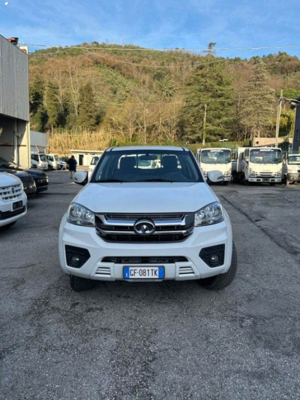 Great Wall Steed Pick-up usata a Lucca (2)