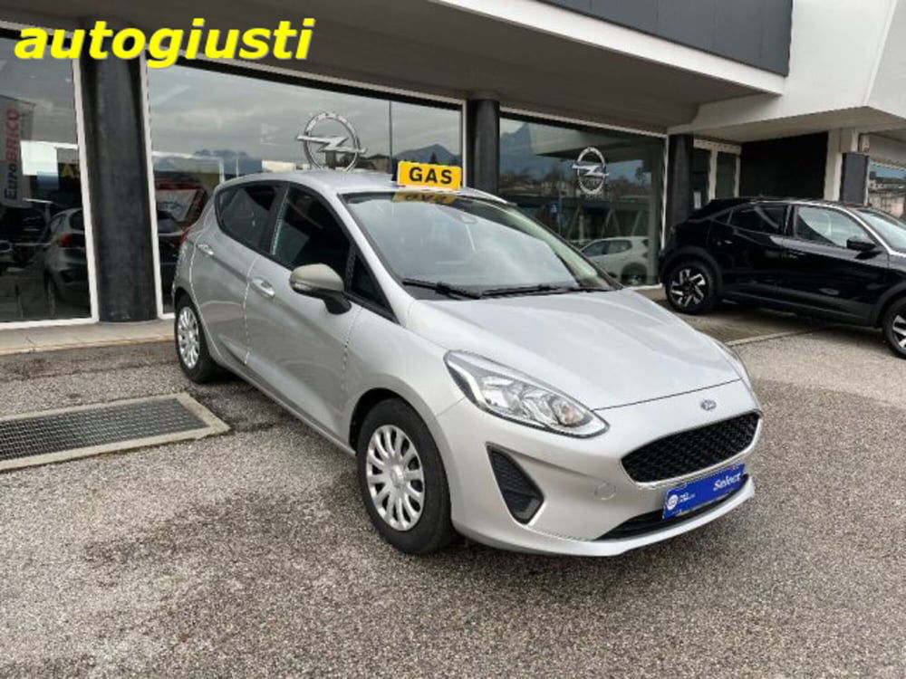 Ford Fiesta usata a Belluno (2)