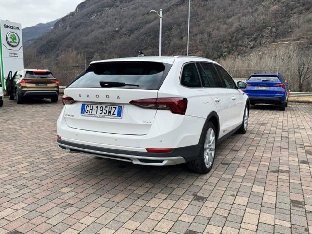 Skoda Octavia Station Wagon usata a Sondrio (14)