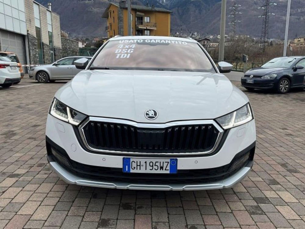 Skoda Octavia Station Wagon usata a Sondrio (2)