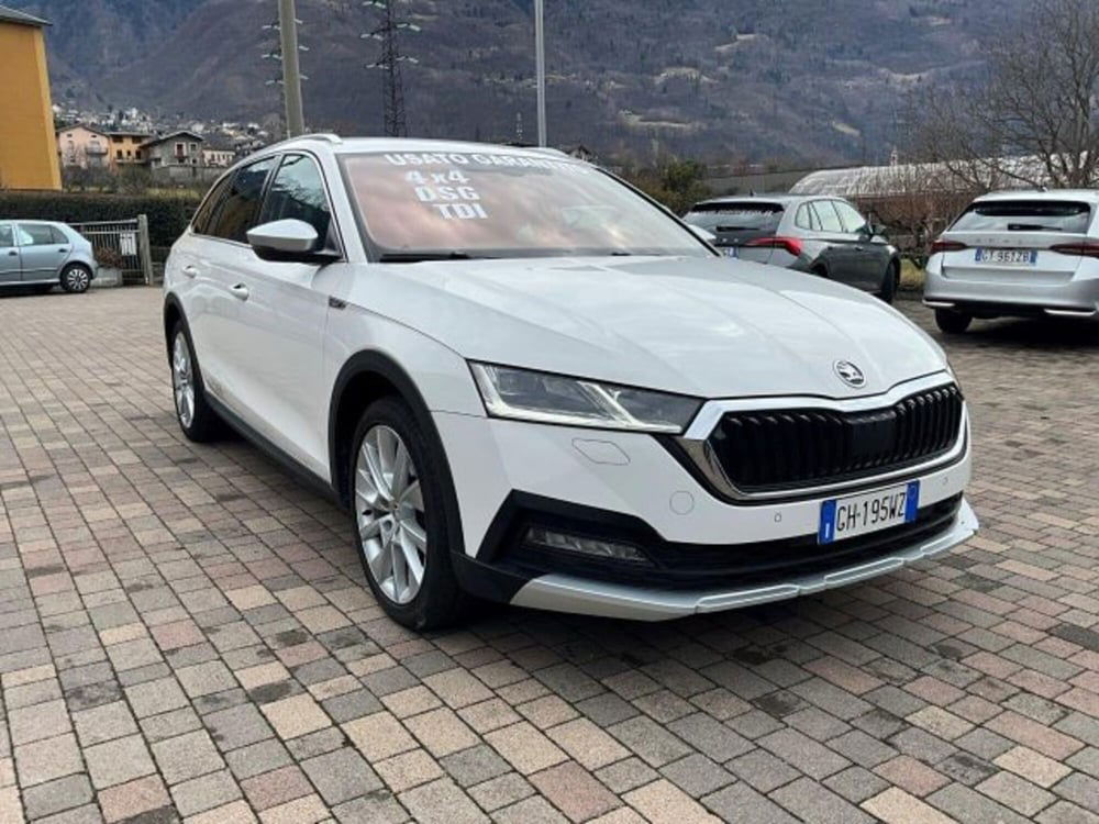 Skoda Octavia Station Wagon usata a Sondrio (4)