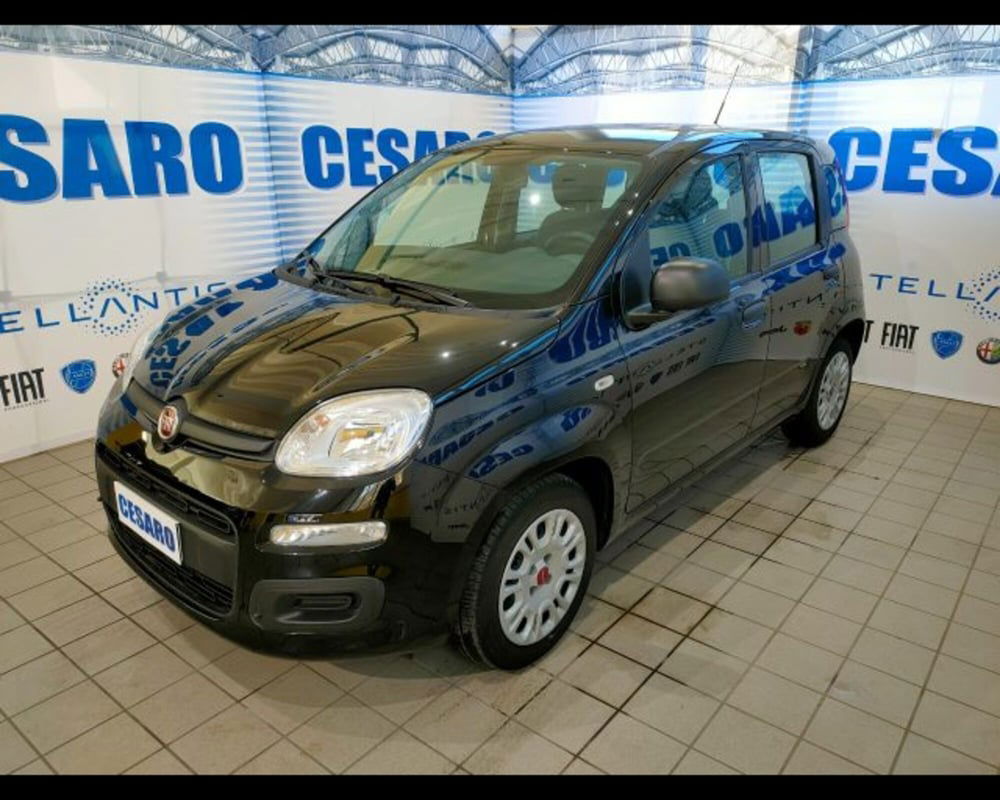 Fiat Panda usata a Aosta (2)