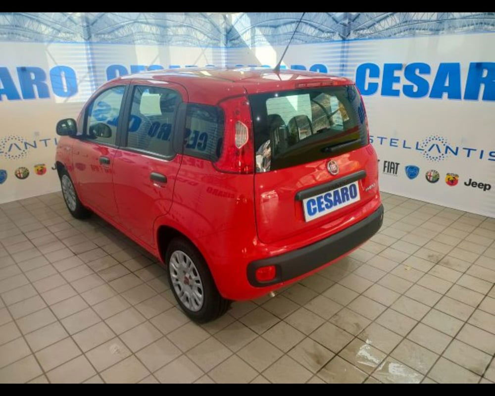 Fiat Panda usata a Aosta (4)