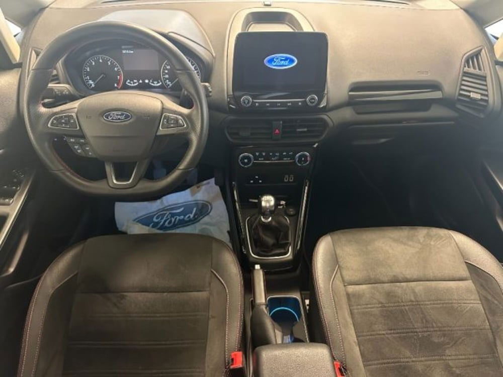 Ford EcoSport usata a Cuneo (10)