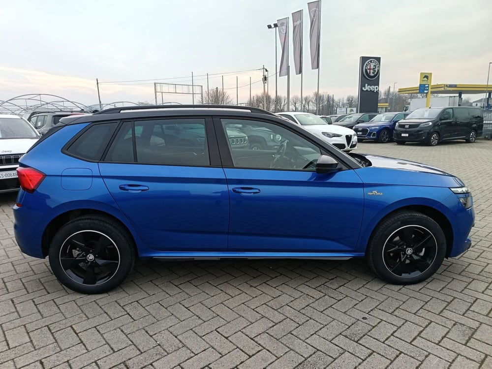 Skoda Kamiq usata a Alessandria (5)