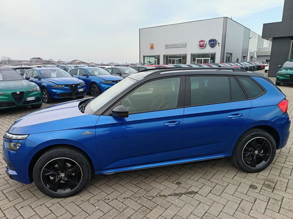 Skoda Kamiq usata a Alessandria (9)