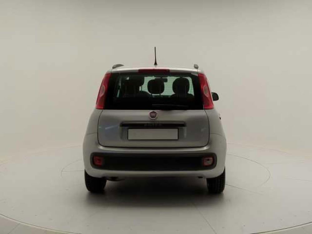 Fiat Panda usata a Avellino (6)