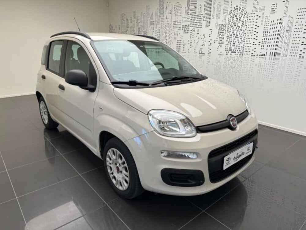 Fiat Panda usata a Cuneo (2)