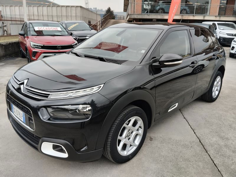 Citroen C4 Cactus BlueHDi 100 S&S Shine  del 2020 usata a Canelli