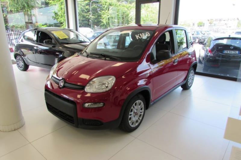 Fiat Panda 1.0 firefly hybrid s&s 70cv 5p.ti nuova a Rho