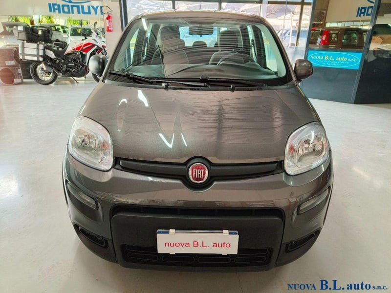 Fiat Panda 1.0 FireFly S&S Hybrid City Cross  del 2023 usata a Cologna Veneta