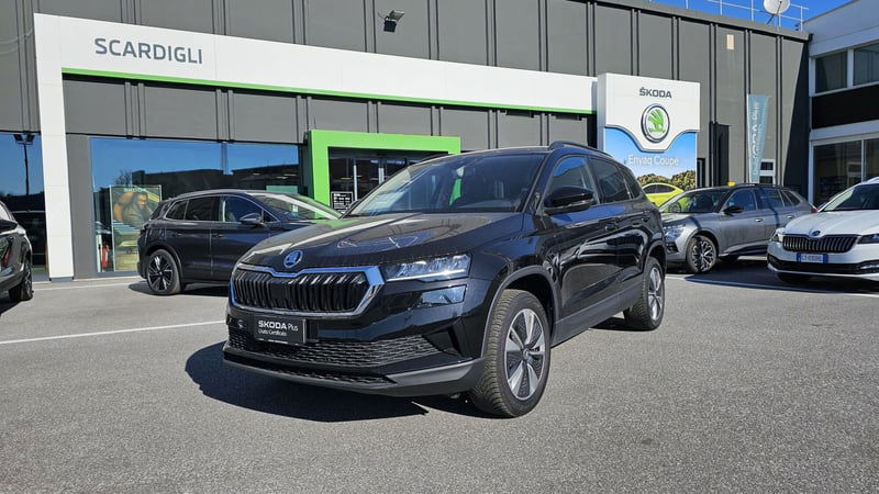 Skoda Karoq 2.0 TDI EVO SCR 115 CV DSG Executive  del 2024 usata a Livorno