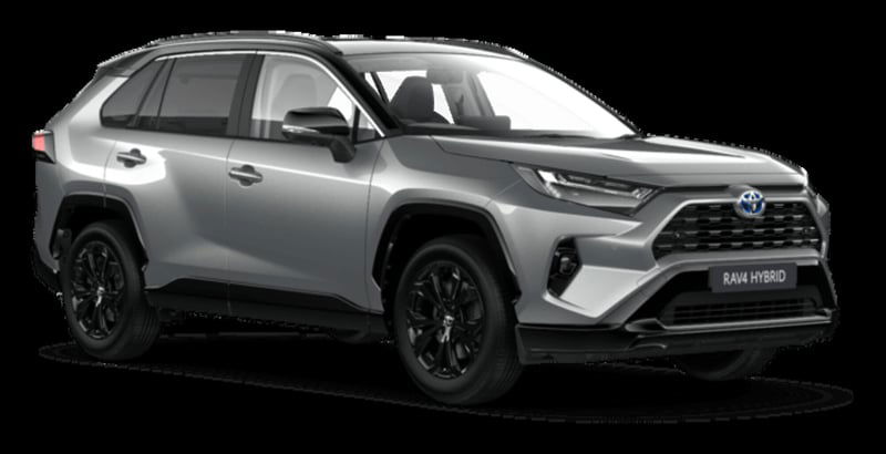 Toyota Rav4 Hybrid 2WD Style  del 2019 usata a Latina