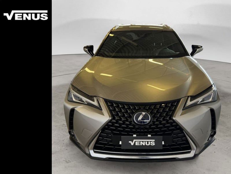 Lexus UX Hybrid 4WD Luxury del 2021 usata a Pioltello