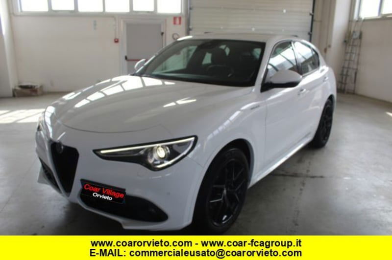 Alfa Romeo Stelvio Stelvio 2.2 Turbodiesel 210 CV AT8 Q4 Veloce  del 2021 usata a Orvieto