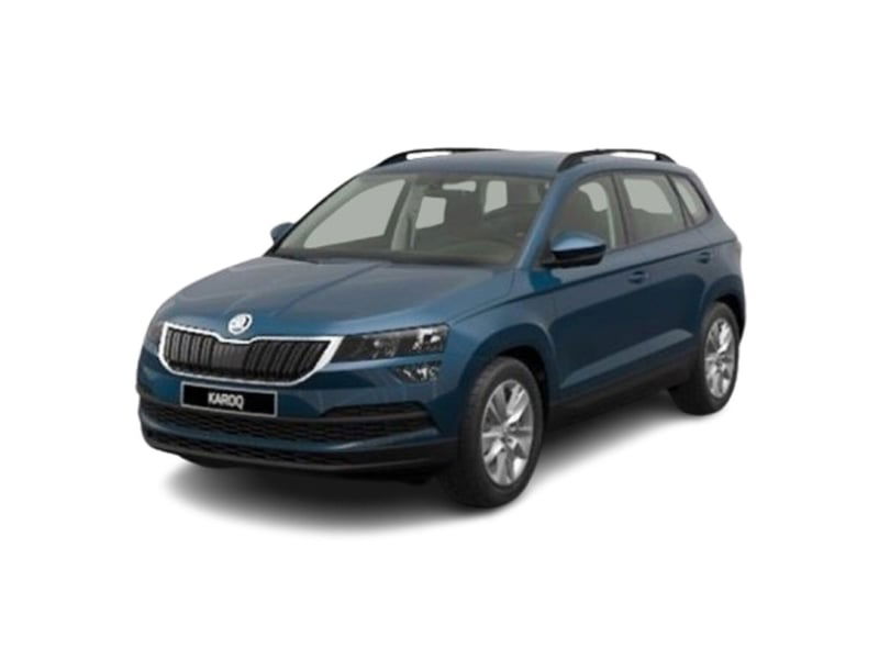 Skoda Karoq 1.6 TDI SCR Executive  del 2018 usata a Bari