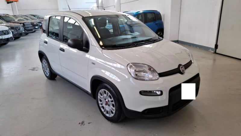 Fiat Panda 1.0 firefly hybrid s&s 70cv 5p.ti del 2023 usata a Palazzolo sull'Oglio