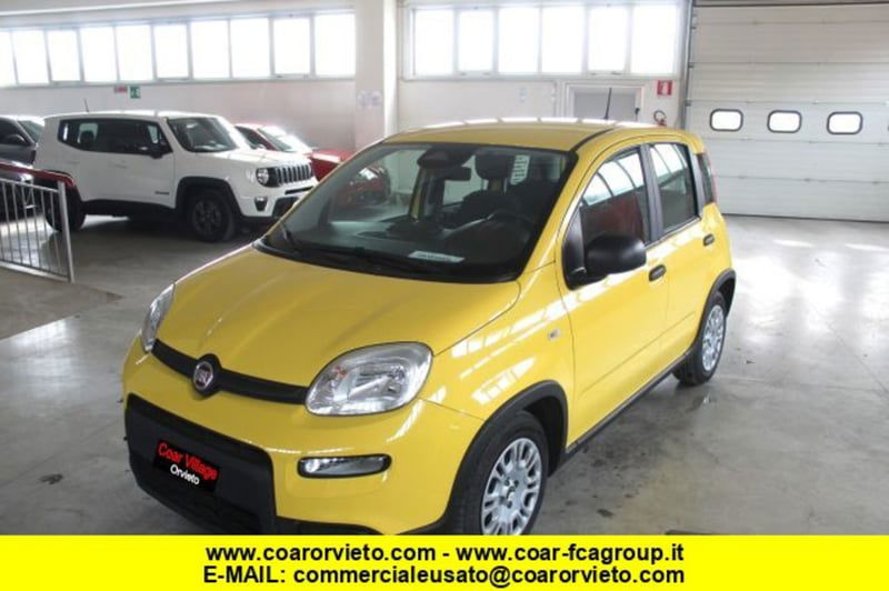 Fiat Panda 1.0 firefly hybrid s&s 70cv 5p.ti nuova a Orvieto