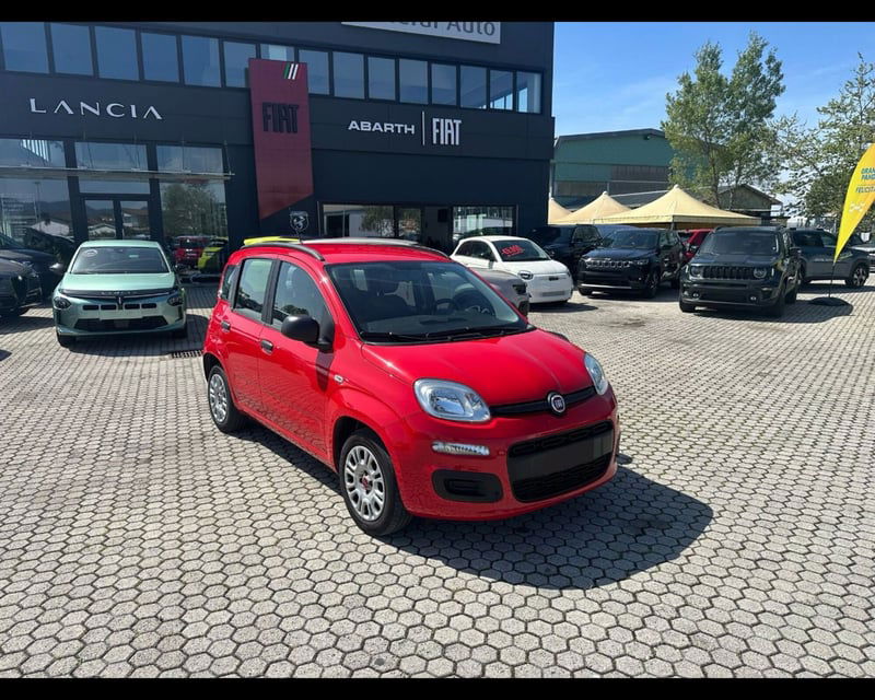 Fiat Panda 1.2 Lounge del 2020 usata a Massarosa