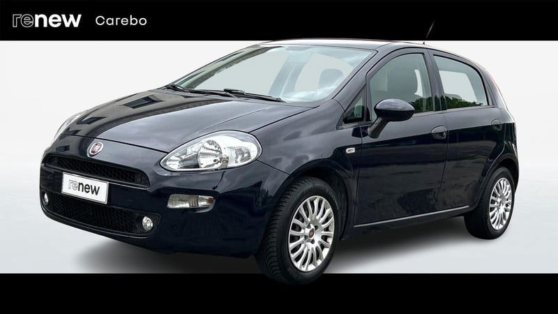 Fiat Punto 1.2 8V 5 porte Young del 2016 usata a Parma