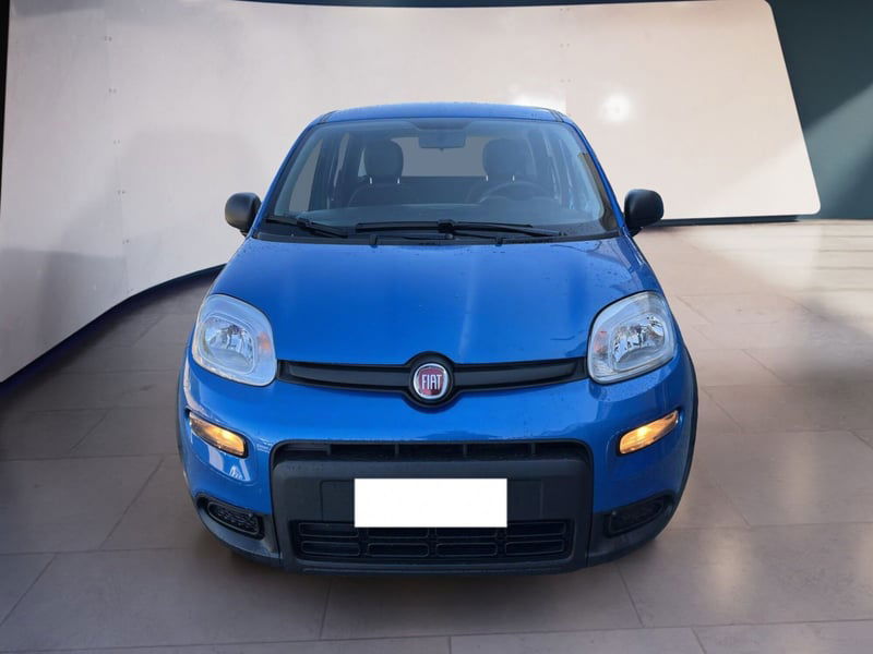 Fiat Panda 1.0 firefly hybrid s&s 70cv 5p.ti del 2024 usata a Torino