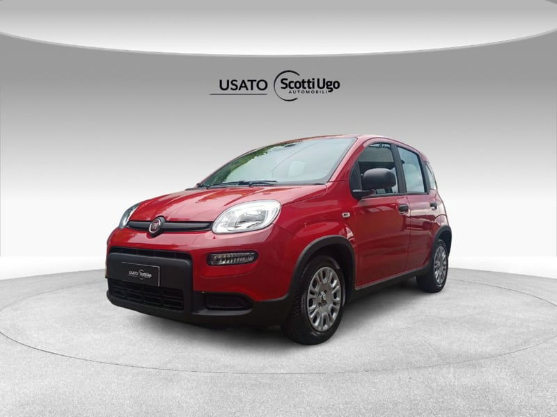 Fiat Panda 1.0 firefly hybrid s&s 70cv nuova a Tavarnelle Val di Pesa