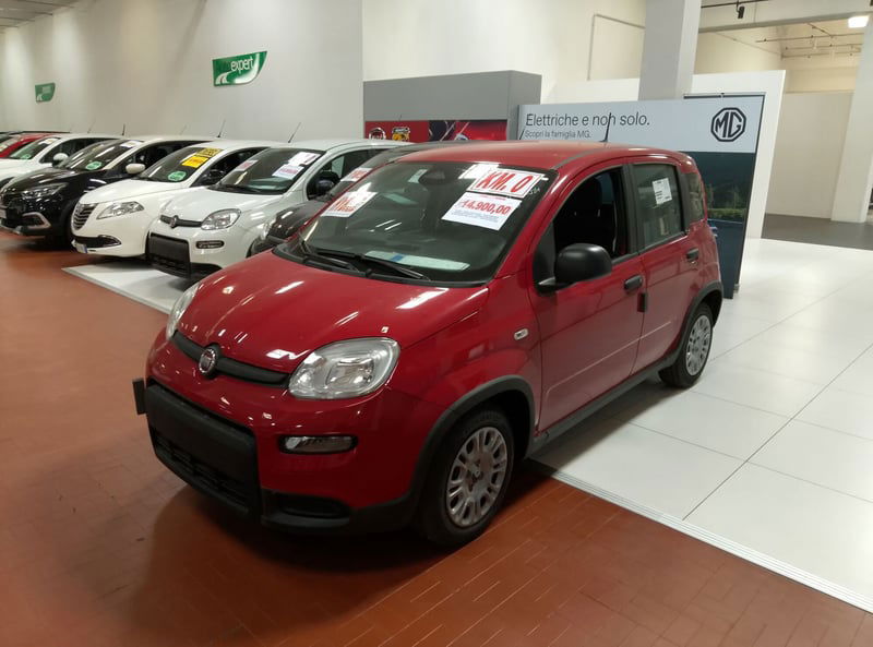 Fiat Panda 1.0 FireFly S&S Hybrid City Cross nuova a Altopascio