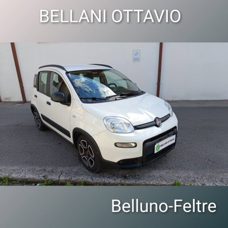 Fiat Panda 1.0 firefly hybrid s&s 70cv 5p.ti del 2022 usata a Feltre